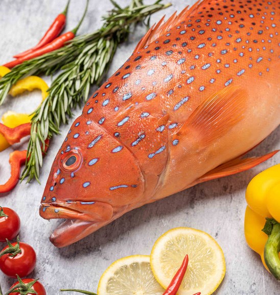 Fresh White Pomfret