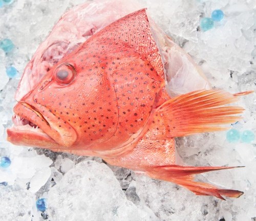Fresh Chinese Pomfret