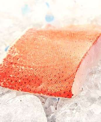 Fresh Balai Threadfin Fillet