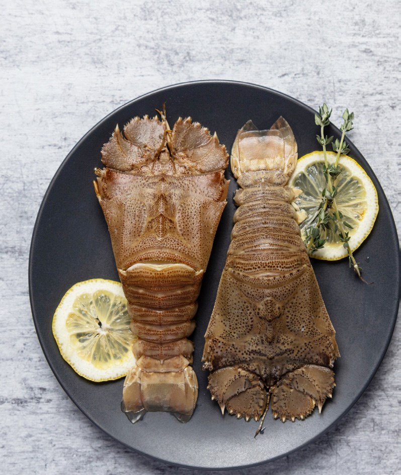 Fresh Sole Fish